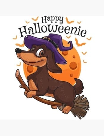 HockeyDoxie