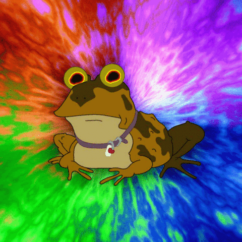 Hypnotoad & Bender:nv: profile picture